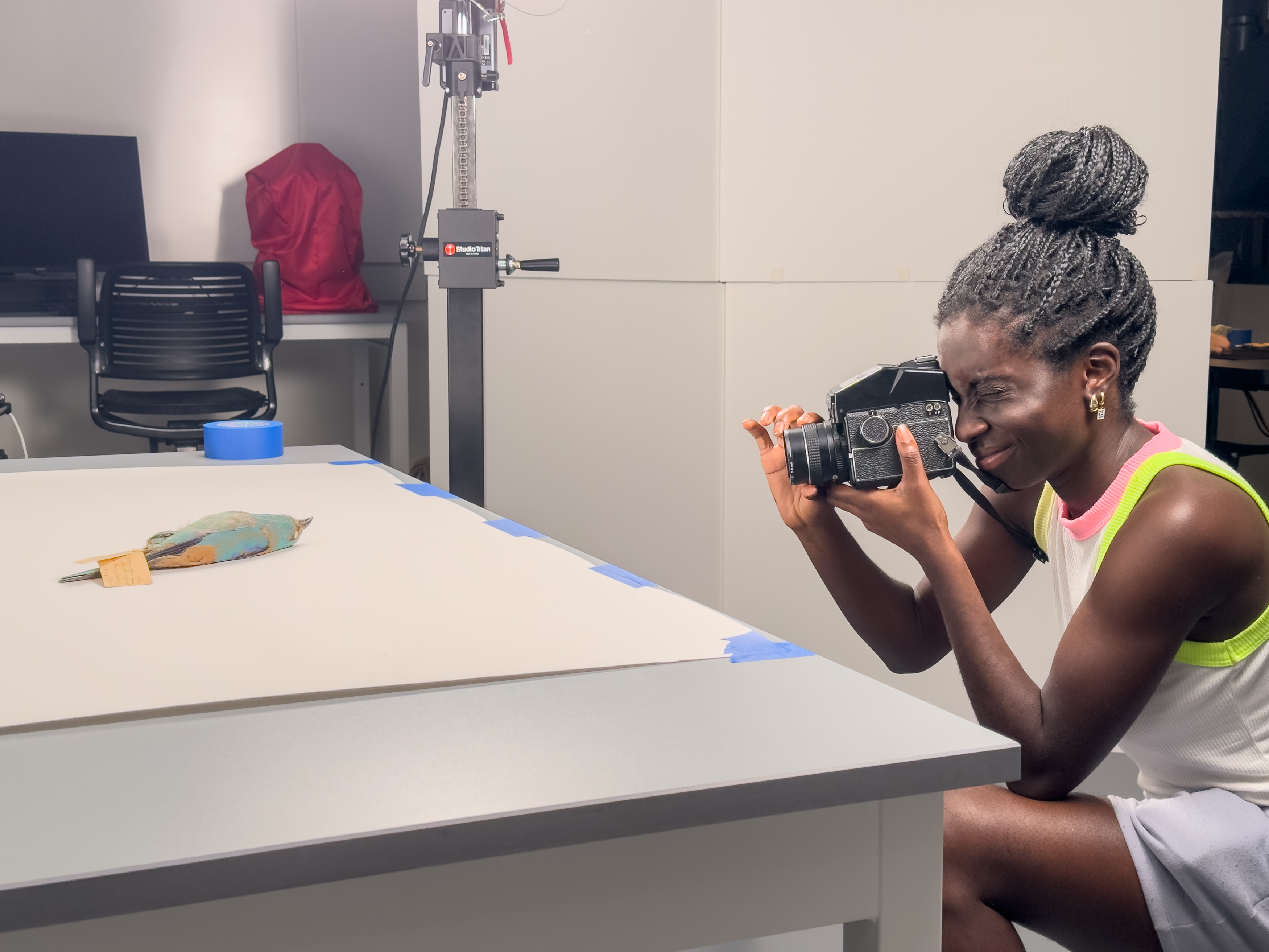 Elishevlyne Eliason, Yale College Class of 2025, photographs an ornithological specimen for an ongoing body of work